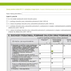 Jak rozliczyć PIT-11 bez błędów i uniknąć kar podatkowych