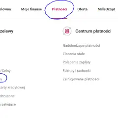 Ile idzie przelew z zagranicy do Millennium? Sprawdź czas realizacji