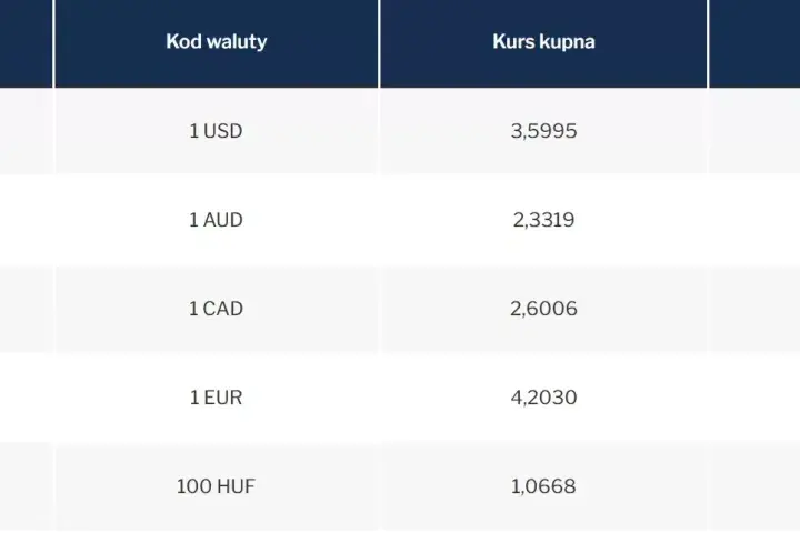 Jak kupić euro w NBP – procedury, kursy i opłaty, które musisz znać