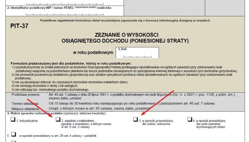 Jak rozliczyć dochody małoletnich dzieci z pracy bez błędów?