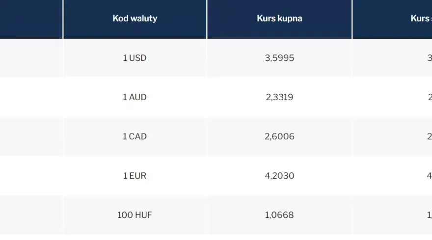 Jak kupić euro w NBP – procedury, kursy i opłaty, które musisz znać