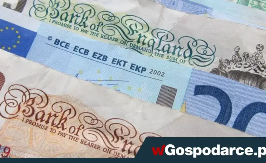 Czy NBP udziela kredytów? Prawda o roli banku centralnego w Polsce